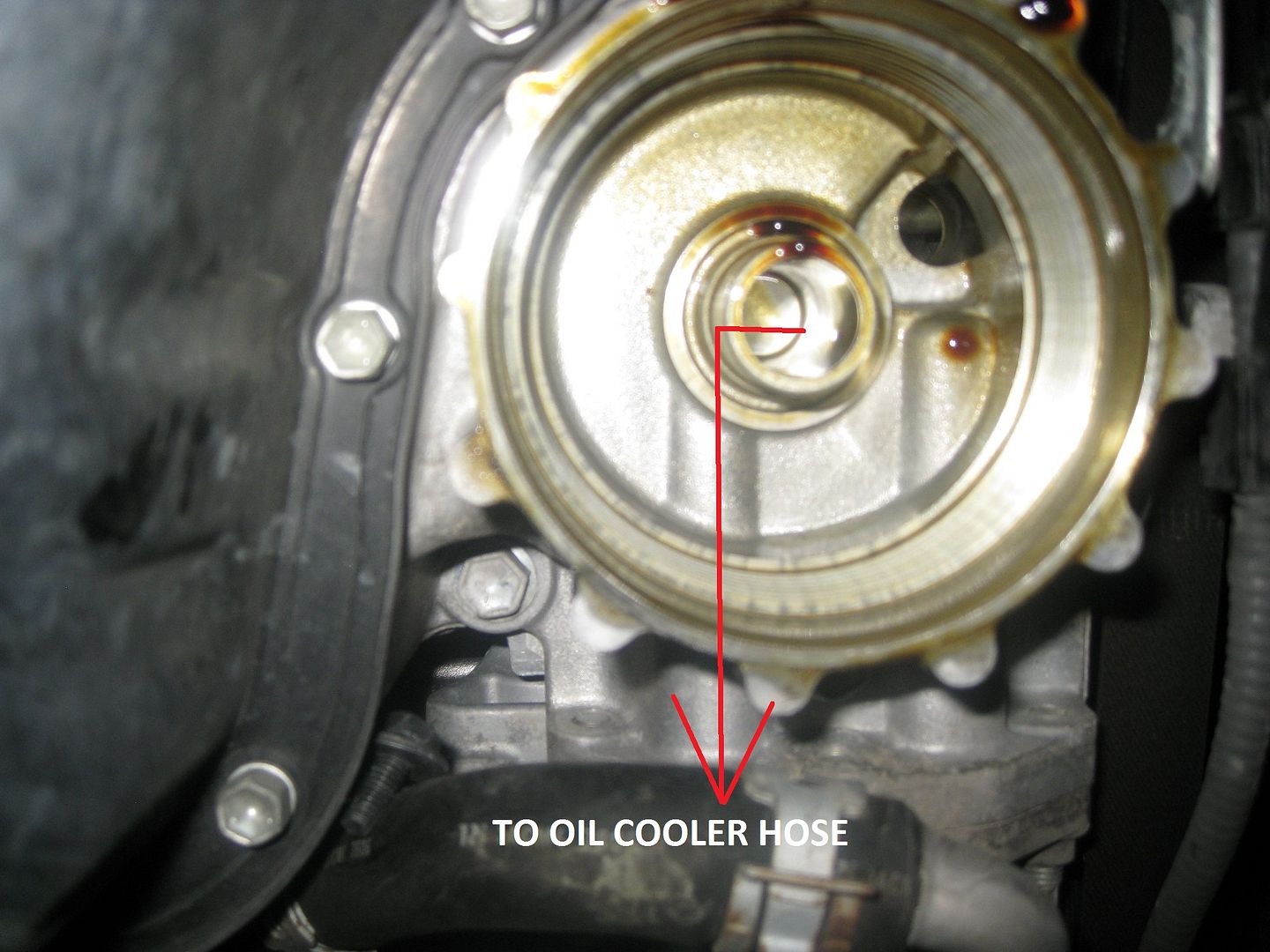 DIY Oil Cooler Line, Exhaust Manifold Removal, Splash Guard Removal